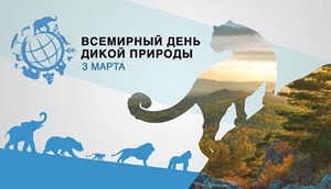 Фотоотчет №0